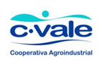 13-c vale