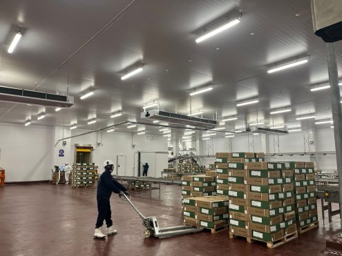 WhatsApp Image 2024-07-24 at 15.35.56 (3)